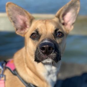 Meet your Posher, Tiffany m